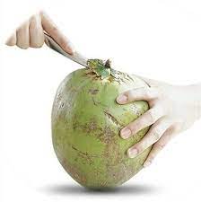 US Water Coconut