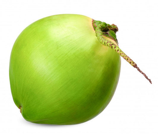 US Water Coconut