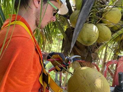 US Water Coconut  – Organic